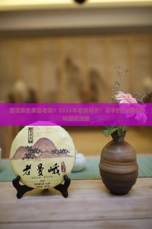 普洱茶名家品老茶