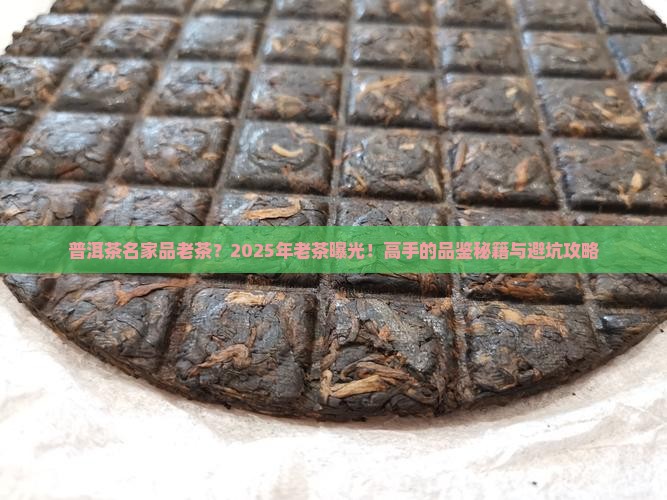 普洱茶名家品老茶