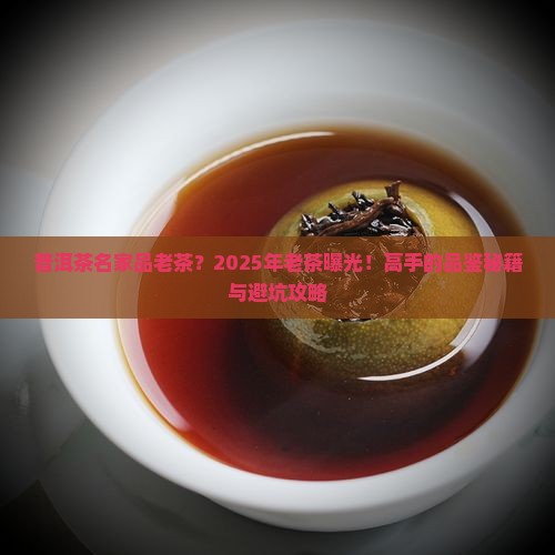 普洱茶名家品老茶