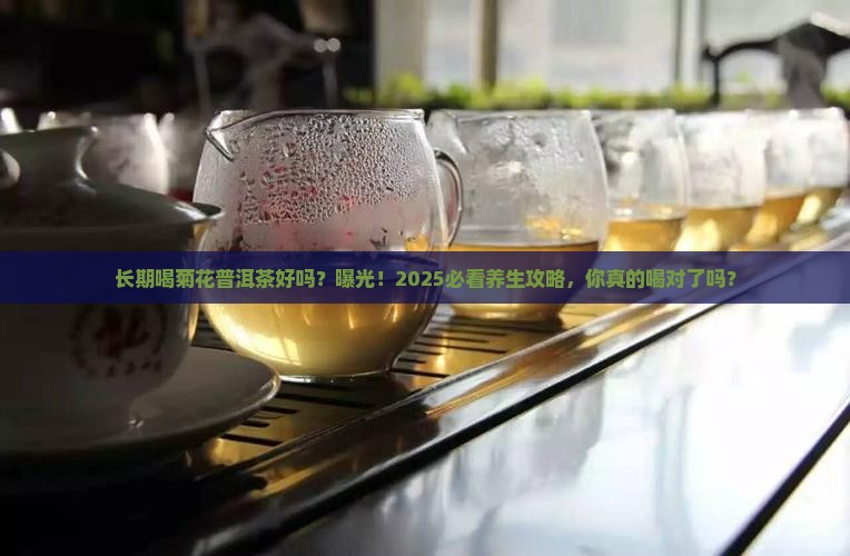 长期喝菊花普洱茶好吗 长期喝菊花普洱茶好吗