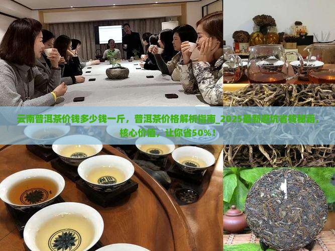 云南普洱茶价钱多少钱一斤