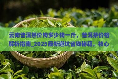 云南普洱茶价钱多少钱一斤