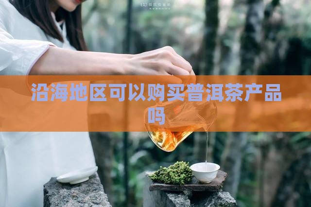 沿海能不能购买藏普洱茶产品
