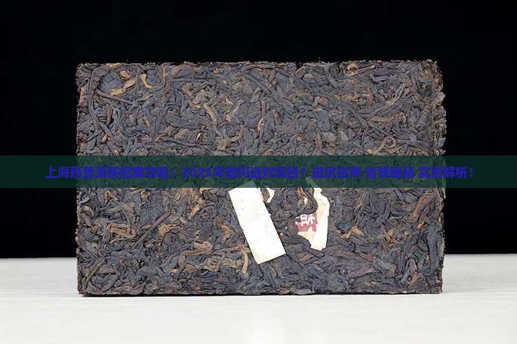 上海熟普洱茶招商