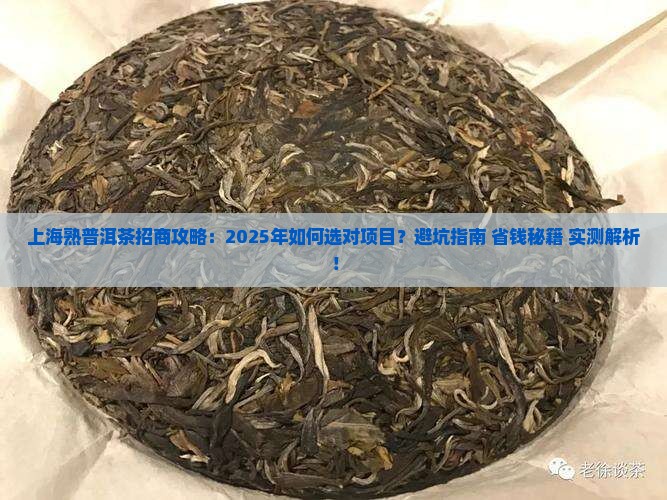上海熟普洱茶招商