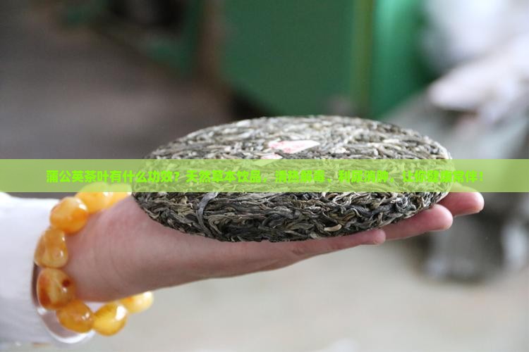 蒲公英茶叶有什么功效