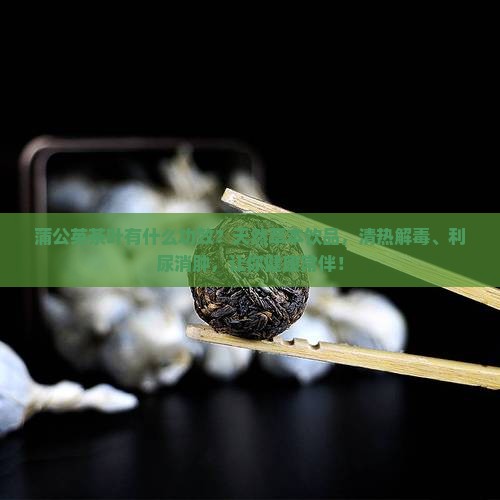蒲公英茶叶有什么功效