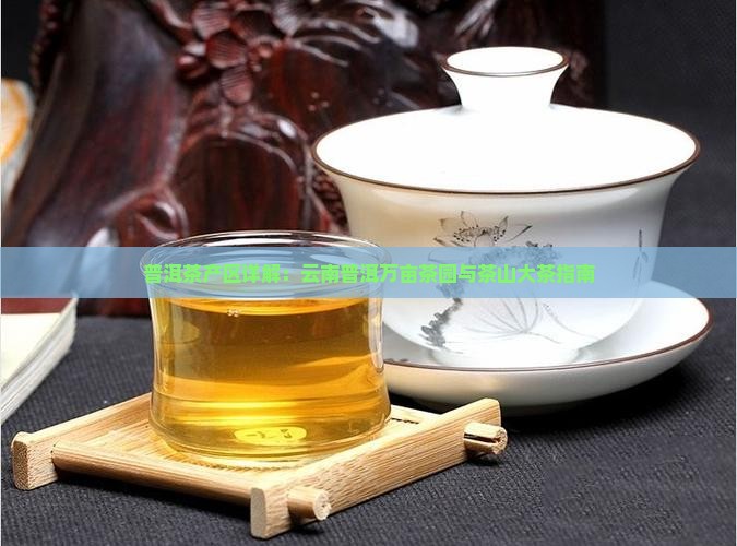 普洱茶产区讲解稿子大全