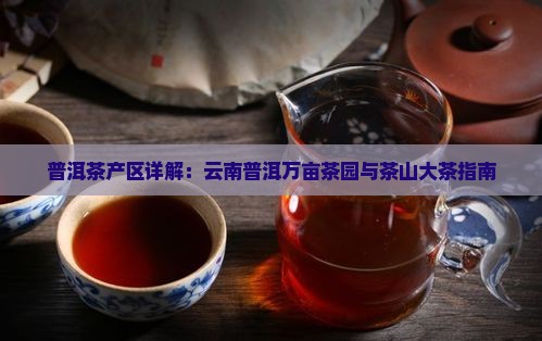 普洱茶产区讲解稿子大全