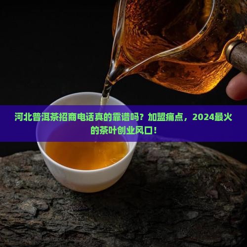 河北普洱茶招商电话