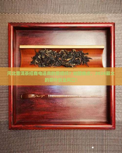 河北普洱茶招商电话