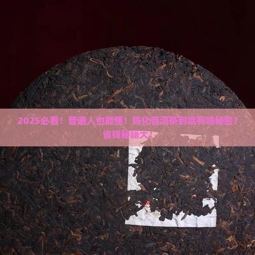陈化普洱茶的原理