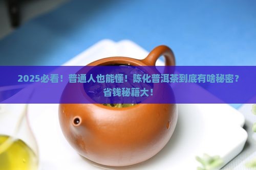 陈化普洱茶的原理