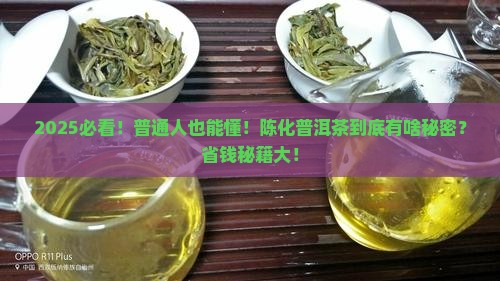 陈化普洱茶的原理