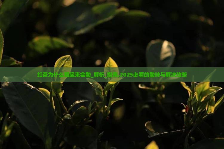 红茶为什么喝起来会酸