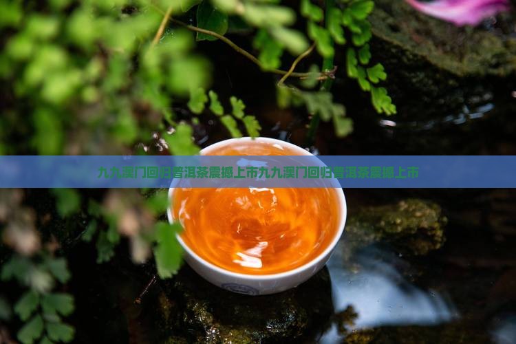九九澳门回归普洱茶