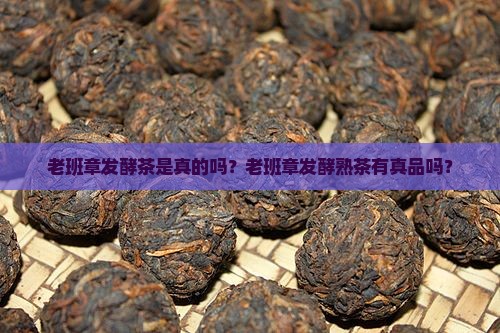 老班章发酵茶是真的吗