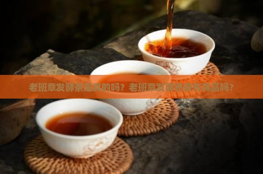 老班章发酵茶是真的吗