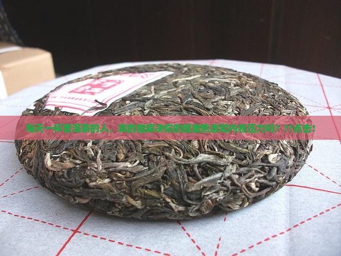 每天一杯普洱茶的人