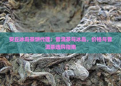 安丘冰岛茶饼代理