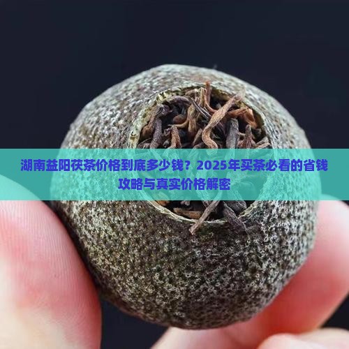 湖南益阳茯茶价格
