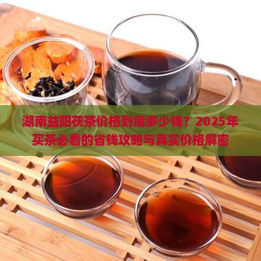 湖南益阳茯茶价格