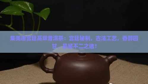 集美唐宫廷高级普洱茶