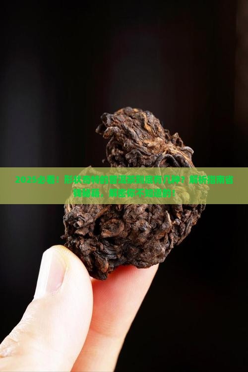 形状非常奇奇怪怪的普洱茶