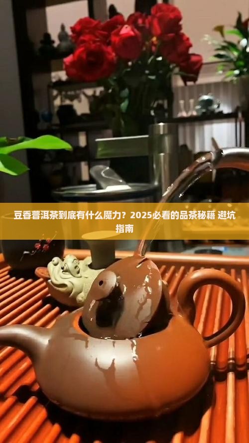 豆香普洱茶创意