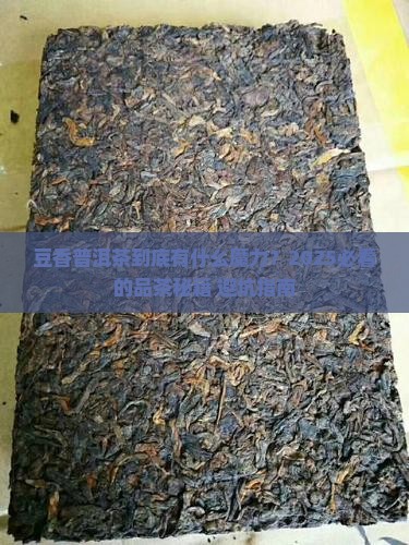 豆香普洱茶创意