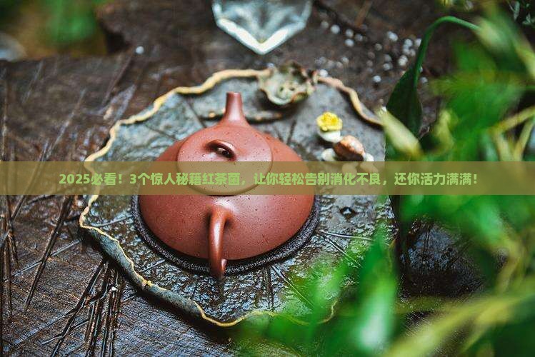 红茶菌的功效与作用菌