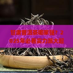 甘肃普洱茶哪家比较有实力