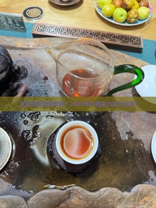 甘肃普洱茶哪家比较有实力