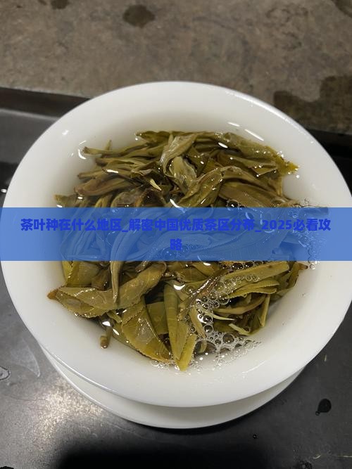 茶叶种在什么地区