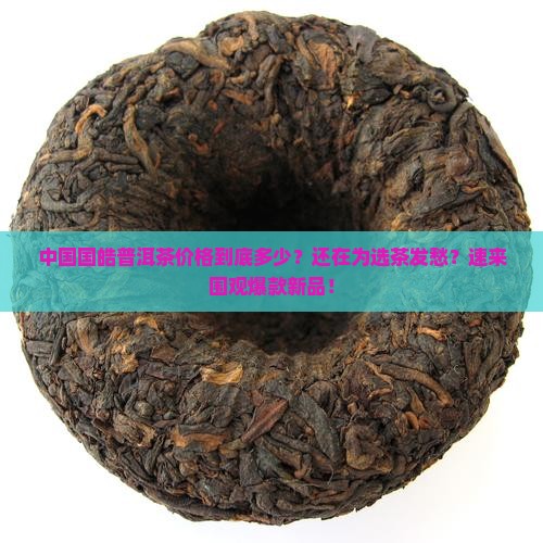 中国国皓普洱茶价格