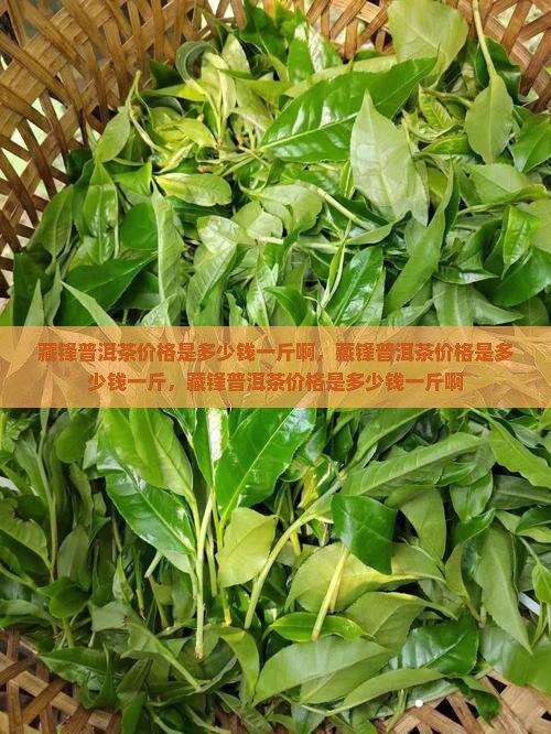 藏锋普洱茶价格是多少钱一斤