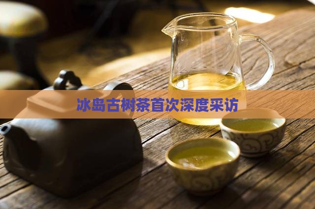 冰岛古树茶第一次采访