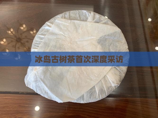 冰岛古树茶第一次采访