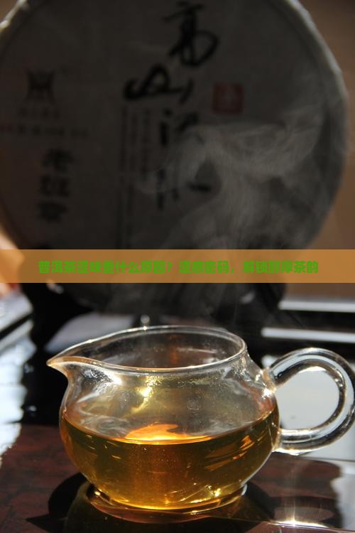 普洱茶涩味重什么原因？涩感密码，解锁醇厚茶韵