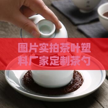 图片实拍茶叶塑料厂家定制茶勺茶夹子