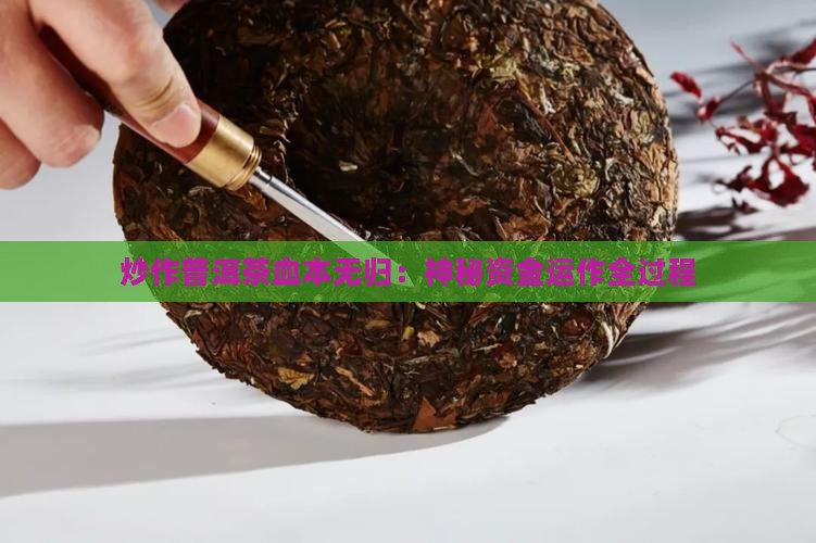 炒作普洱茶血本无归：神秘资金运作全过程