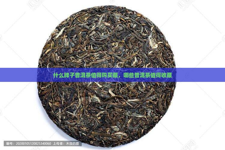 什么牌子普洱茶值得购买藏，哪些普洱茶值得收藏