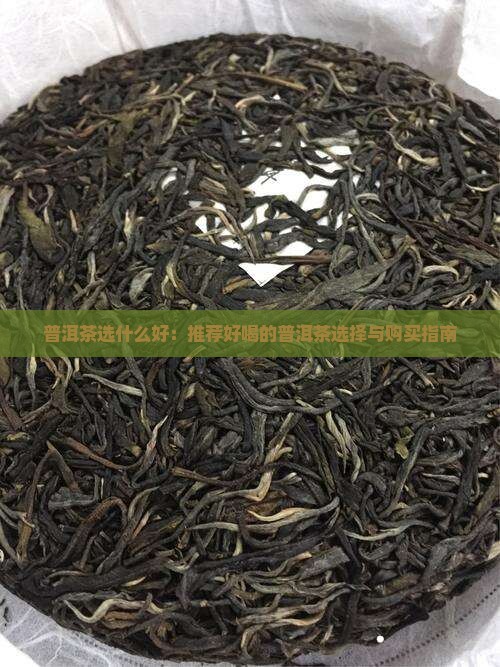 普洱茶选什么好：推荐好喝的普洱茶选择与购买指南