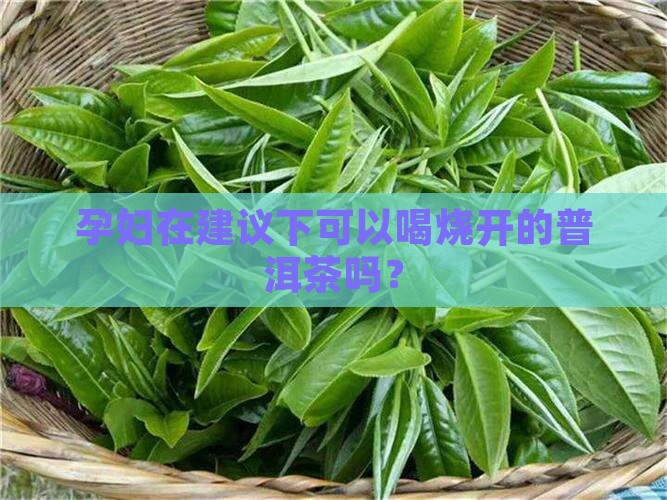 孕妇在建议下可以喝烧开的普洱茶吗？