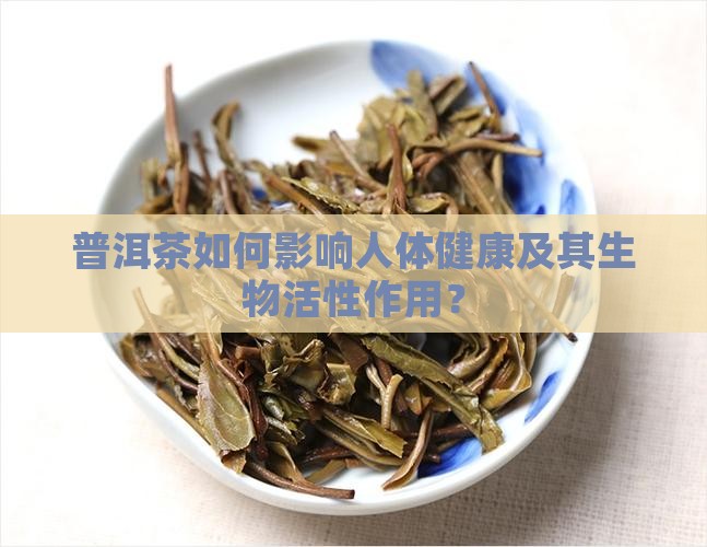 普洱茶如何影响人体健康及其生物活性作用？