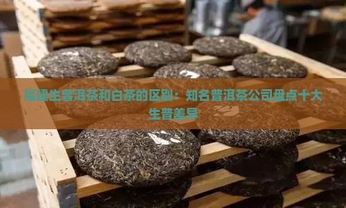 福建生普洱茶和白茶的区别：知名普洱茶公司盘点十大生普差异