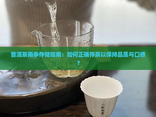 普洱茶雨季存储指南：如何正确存茶以保持品质与口感？