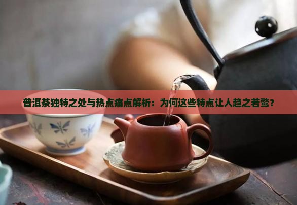普洱茶独特之处与热点痛点解析：为何这些特点让人趋之若鹜？