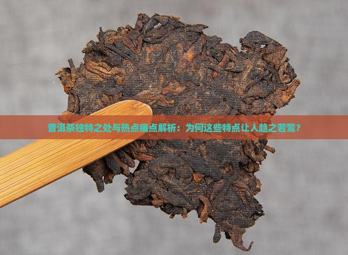 普洱茶独特之处与热点痛点解析：为何这些特点让人趋之若鹜？