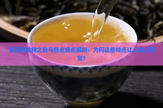 普洱茶独特之处与热点痛点解析：为何这些特点让人趋之若鹜？